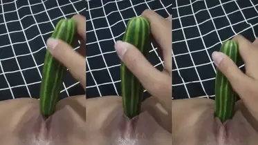 bokep abg colmek pake Timun